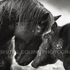 Artslant_image