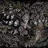 20111022143709-jb11013_evil_boy_and_his_minions