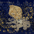 20111022143806-jb11014_beautiful_octopus_in_her_swirling_world
