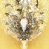 20111022153938-jb11020_beautiful_mask_ii