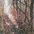 20111024140849-es7563_magritte_69