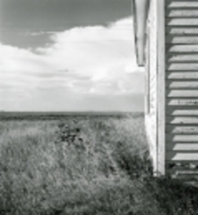 ,Robert Adams