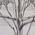 20111025085656-branches_hands_drawings_001
