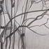 20111025093854-branches_hands_drawings_006