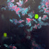 20111025111422-untitledbluegreenpink