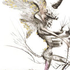 20111026103758-dali_-_le_demon_aile