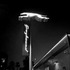 20111026113639-img_3112