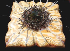 20111026211412-fujimoto_expecting_to_fly__24x24x9_plywood__epoxy__glitter__twigs__nest__silver-eared_leiothrix
