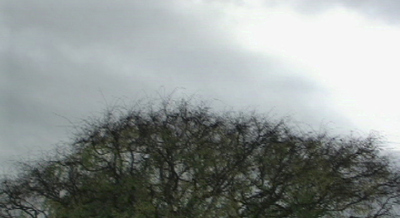 20111026212605-bunn_image