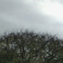 20111026212605-bunn_image