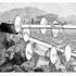 20111027154526-akropola1_papier_2010