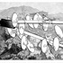 20111027155210-akropola2_papier_2010