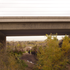 20111027174718-malley_cavalier_evite