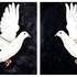 20111028134431-dove_diptych