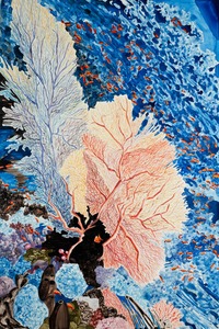 20111028134644-fan_coral