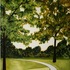 20111028135549-new_2_trees