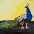 20111028135751-peacock_profile