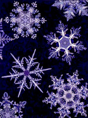 Kaleidoscopic XXII: Ice Crystals,Paula Nadlestern