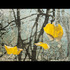20111030182942-current_presence