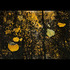 20111030183042-full_fathom