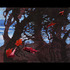 20111030183139-sweep