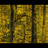 20111030183228-long_hour