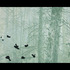 20111030183613-veil_for_infinity