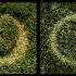 20111031220251-dawson-split