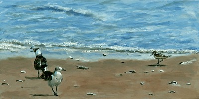 20111101162153-birdsonthebeachii95