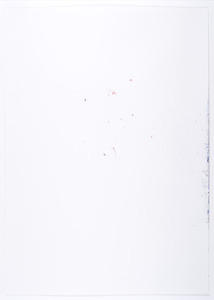 20111101192206-bild-randerscheinung