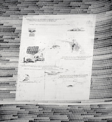 Not An Island,Derek Chan