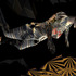 20111102130137-rachel_clarke