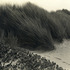 20111103115653-bw_oceano_ca_1933_small