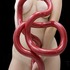 20111104005347-chetrit-small2