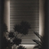 Gruzisblind-version-no-3