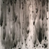 20111104115955-dangunn55