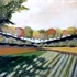 20111104131038-dsc00014_painting