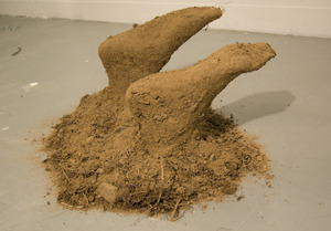 20111104174755-jasminedirt1