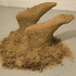 20111104175940-jasminedirt1web