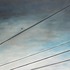 20111104223126-gardenwirecolindoherty_copy