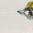 20111105075144-hughen-starkweather-yerba-buena