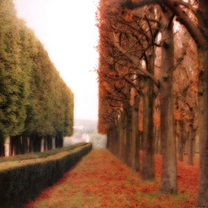 20111105114321-10-08-9c-9_parc_de_sceaux_france