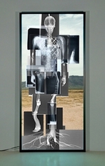 Missing Link,Matthew Day Jackson