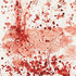 20111106230220-all_are_the_colour_of_my_heart