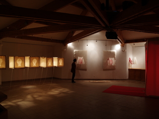  "Dans l\'Ombre" : general view ,Gwen Gerard
