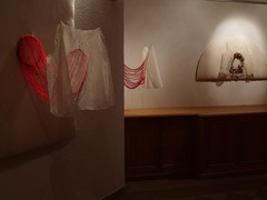 20111107091050-doublures