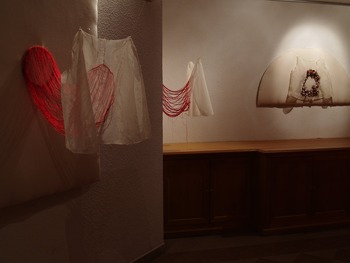 20111107091050-doublures