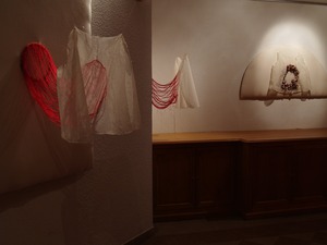 20111107091050-doublures