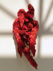 Flame,Ming Fay