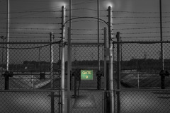 20111107151148-dia1004_large